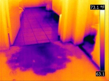 best thermal imaging camera for moisture detection