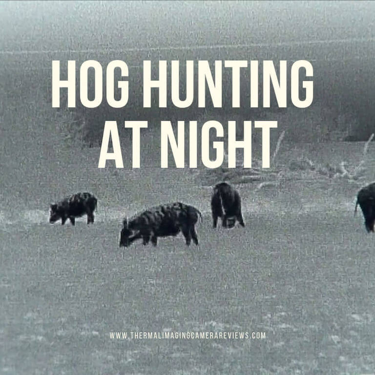 Hog Hunting At Night Thermal Scopes and Essential Gear