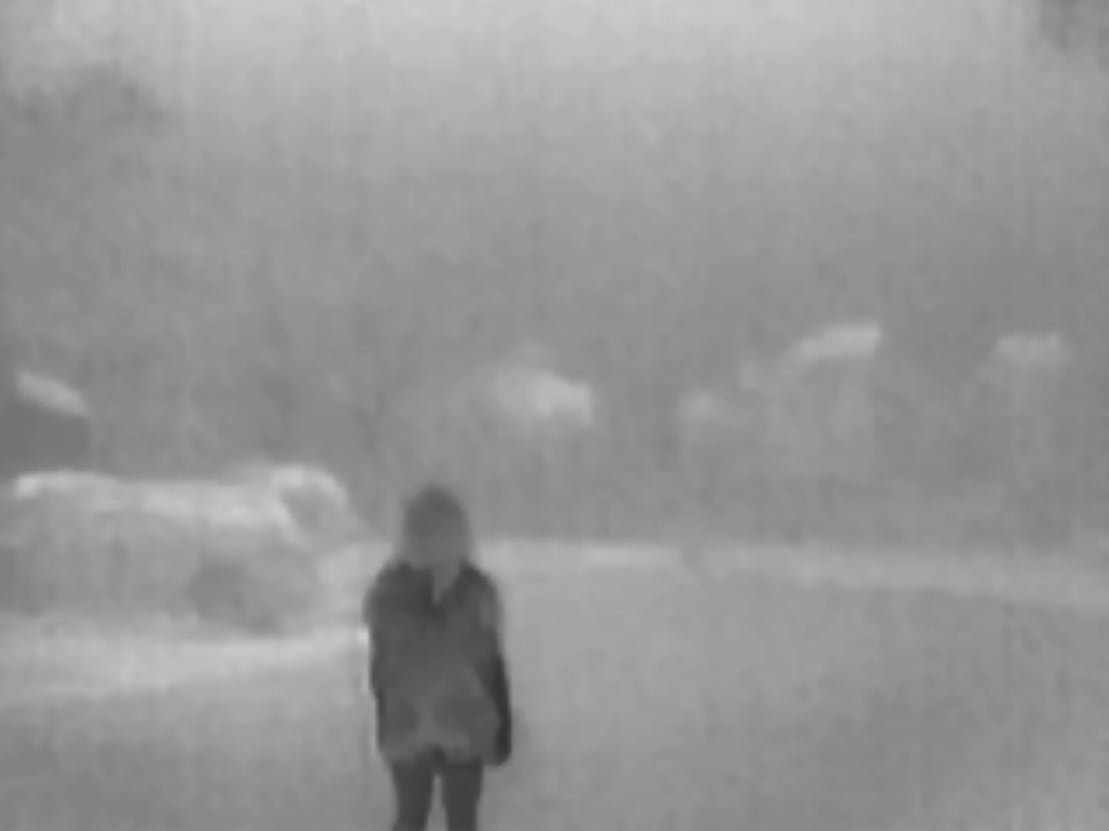 Flir SCOUT Tk thermal image sample