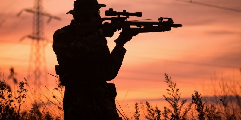crossbow hunting